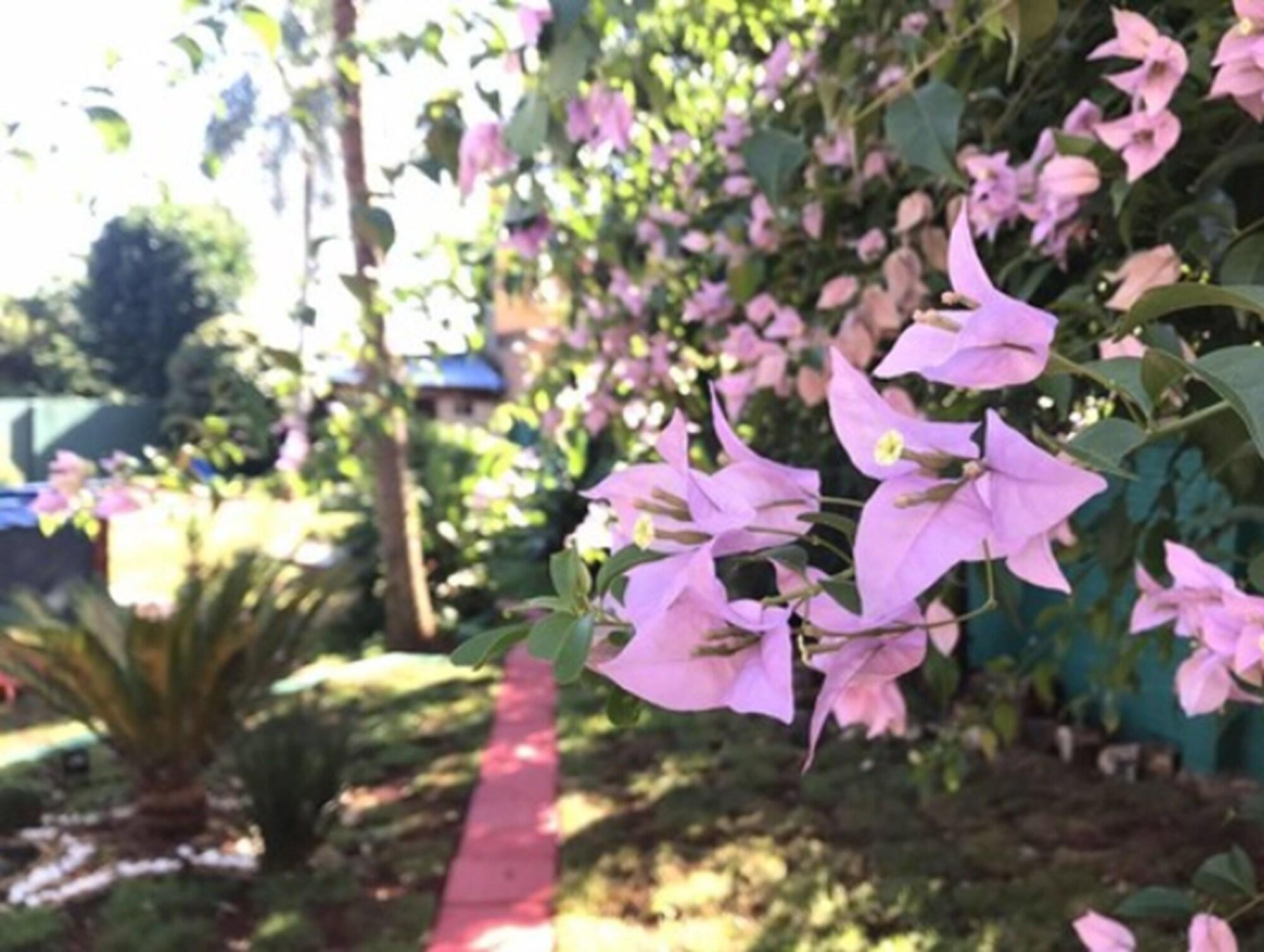 La Quinta By Wyndham קינגסוויל מראה חיצוני תמונה